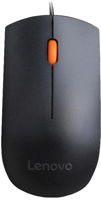 Мышь Lenovo 300 USB Mouse (GX30M39704)