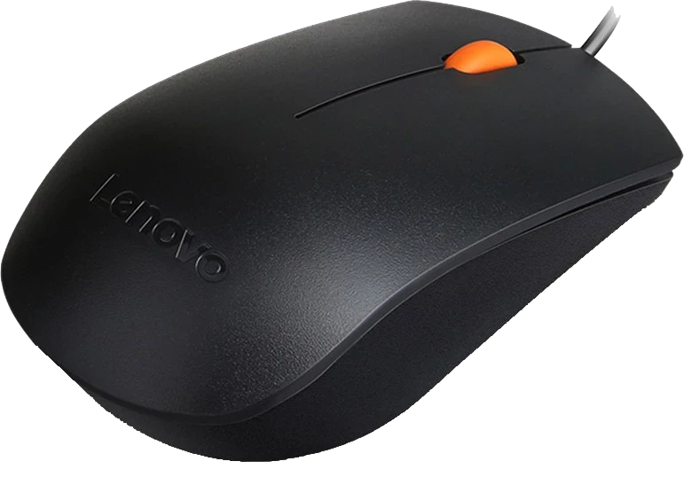 Мышь Lenovo 300 USB Mouse (GX30M39704)